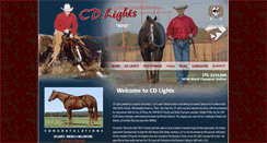 Desktop Screenshot of cdlightsboss.com